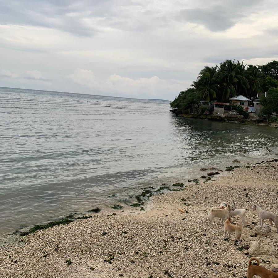 Luna Oslob Travellers Inn - Beach Front Luaran gambar